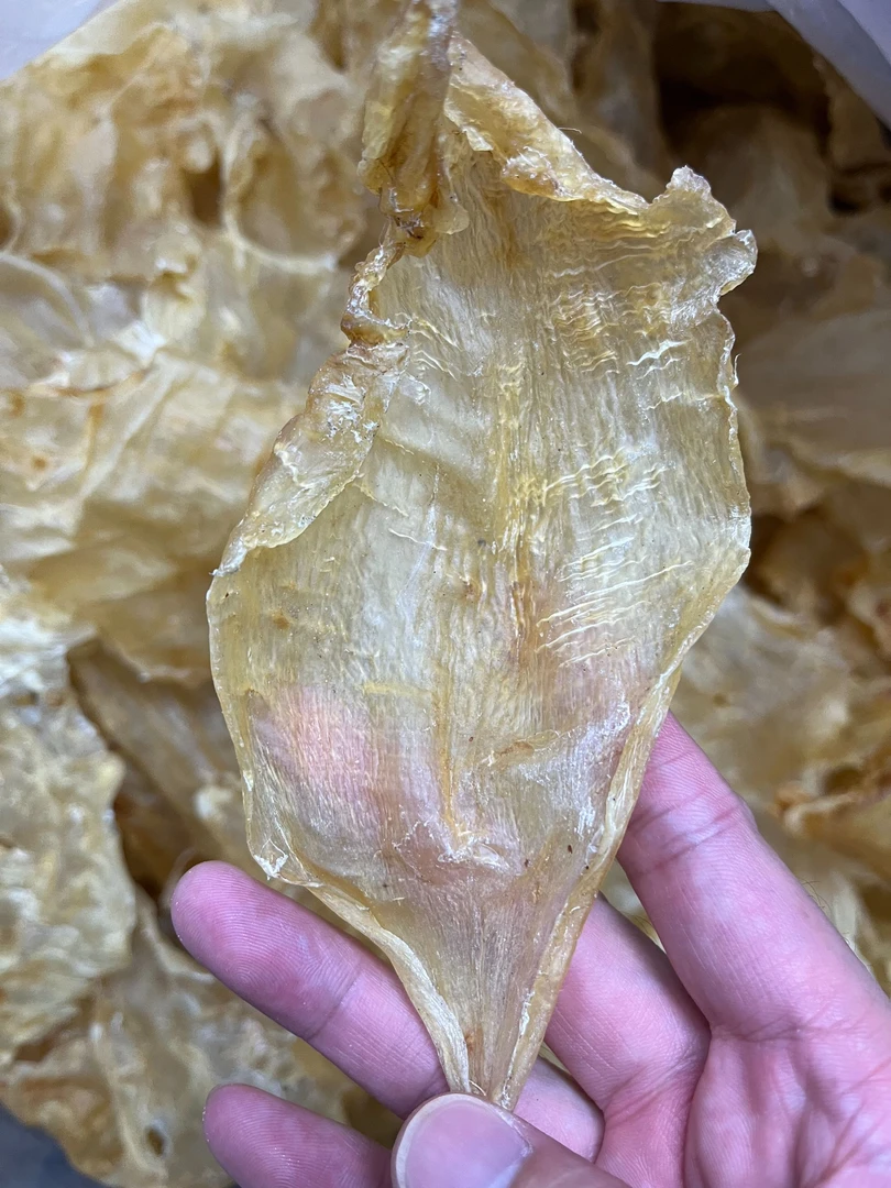 斗湖公，顺风斗湖公，厚肉口感胶质满满。