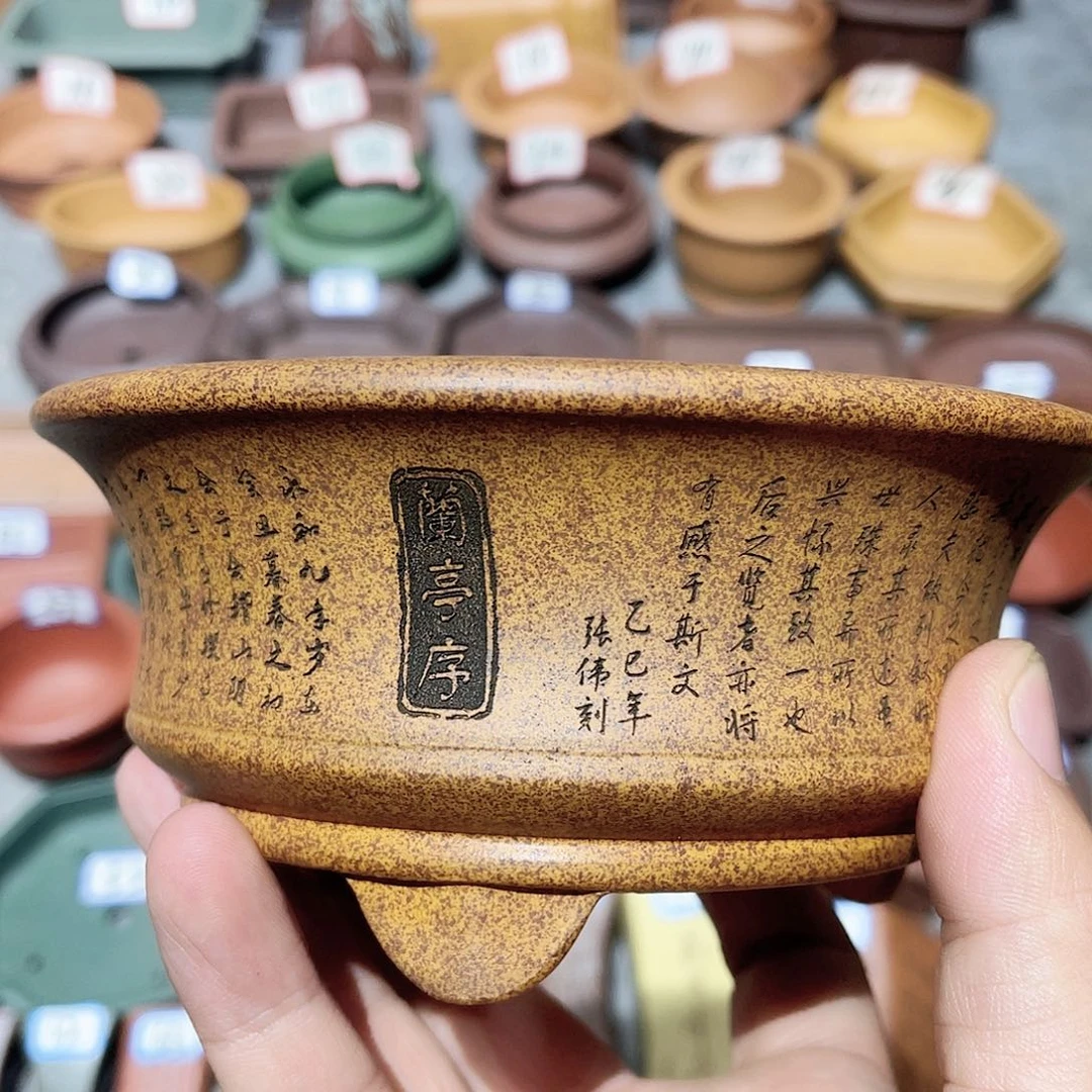 紫砂小盆11*4.5cmmmm