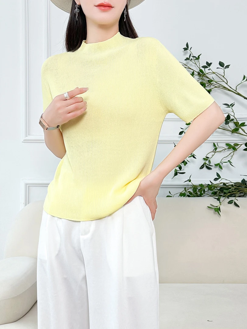2025春夏时尚百搭一线成衣无痕半袖中领修身女针织打底衫[25033]