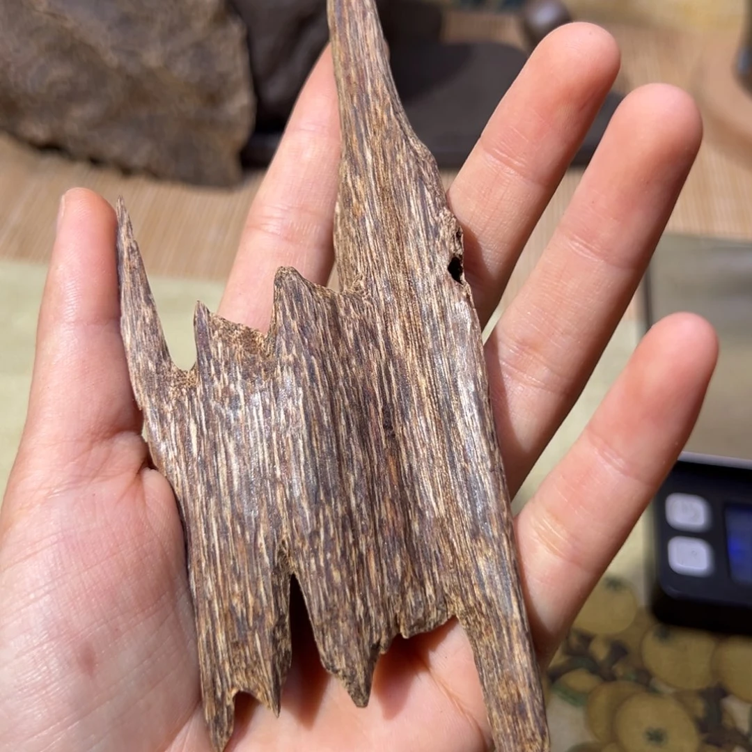 【闪购商品】香榧木海南木料尖峰岭红油虫漏11克