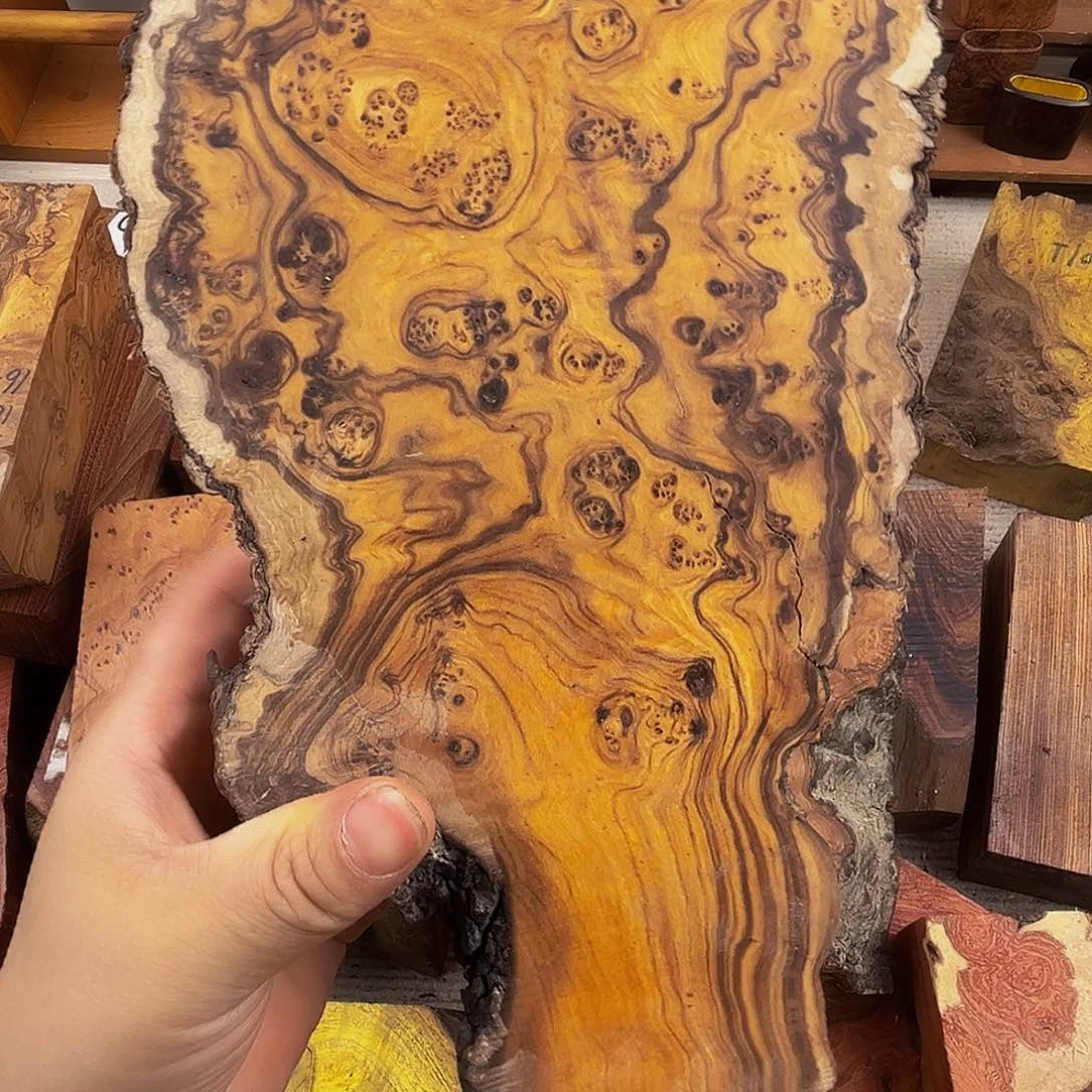 香榧木尘*晃鬼柳尖叶木栖榄留疤