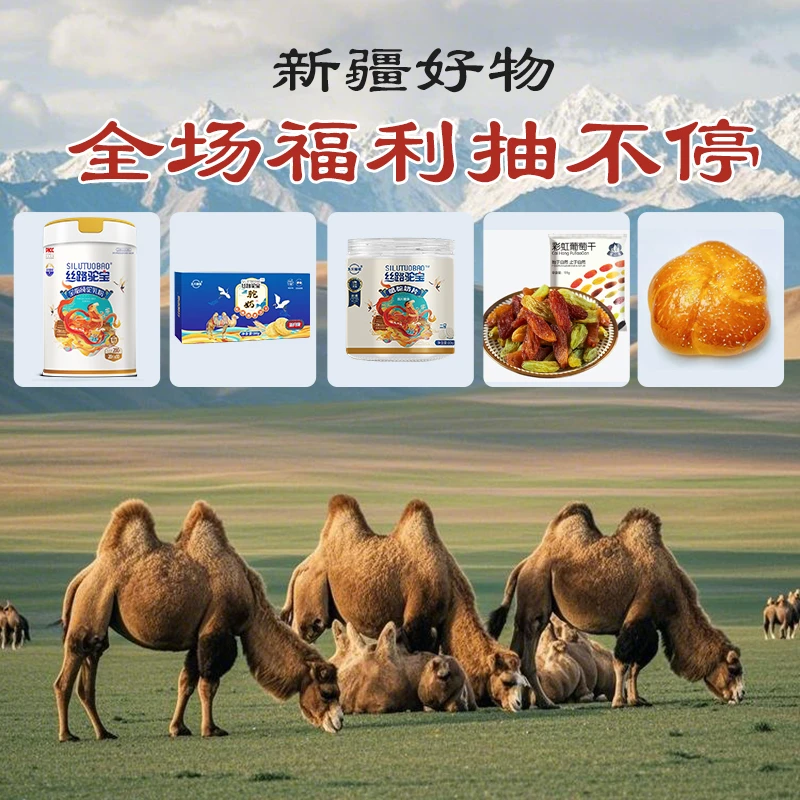 【云初首发】丝路驼宝国庆中秋专场破机制