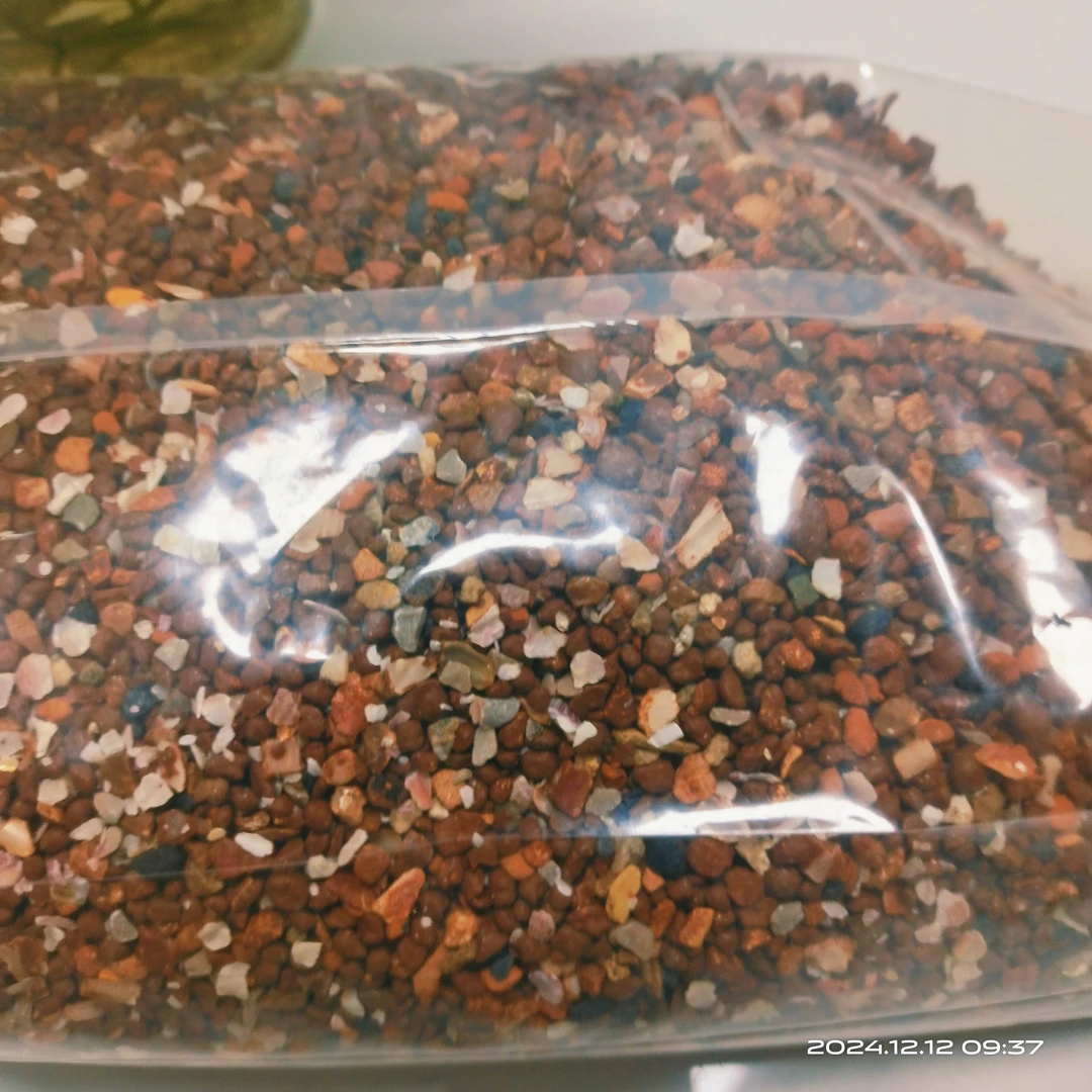 健丽森烘干蒜味保健砂