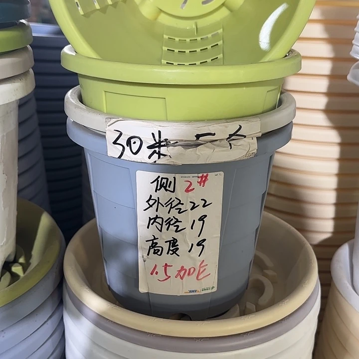 测2#口径22带托果绿10套