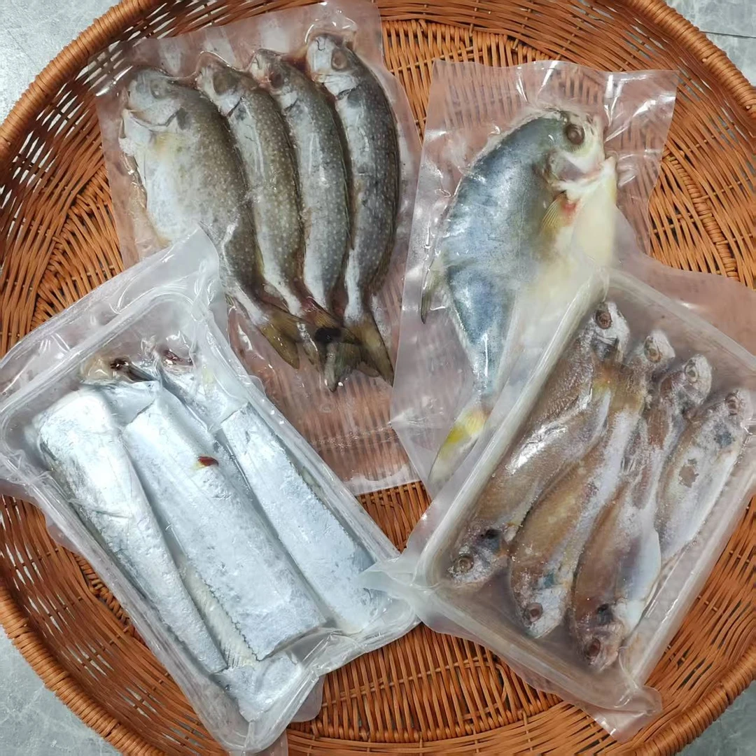 浅海鱼类组合套餐116