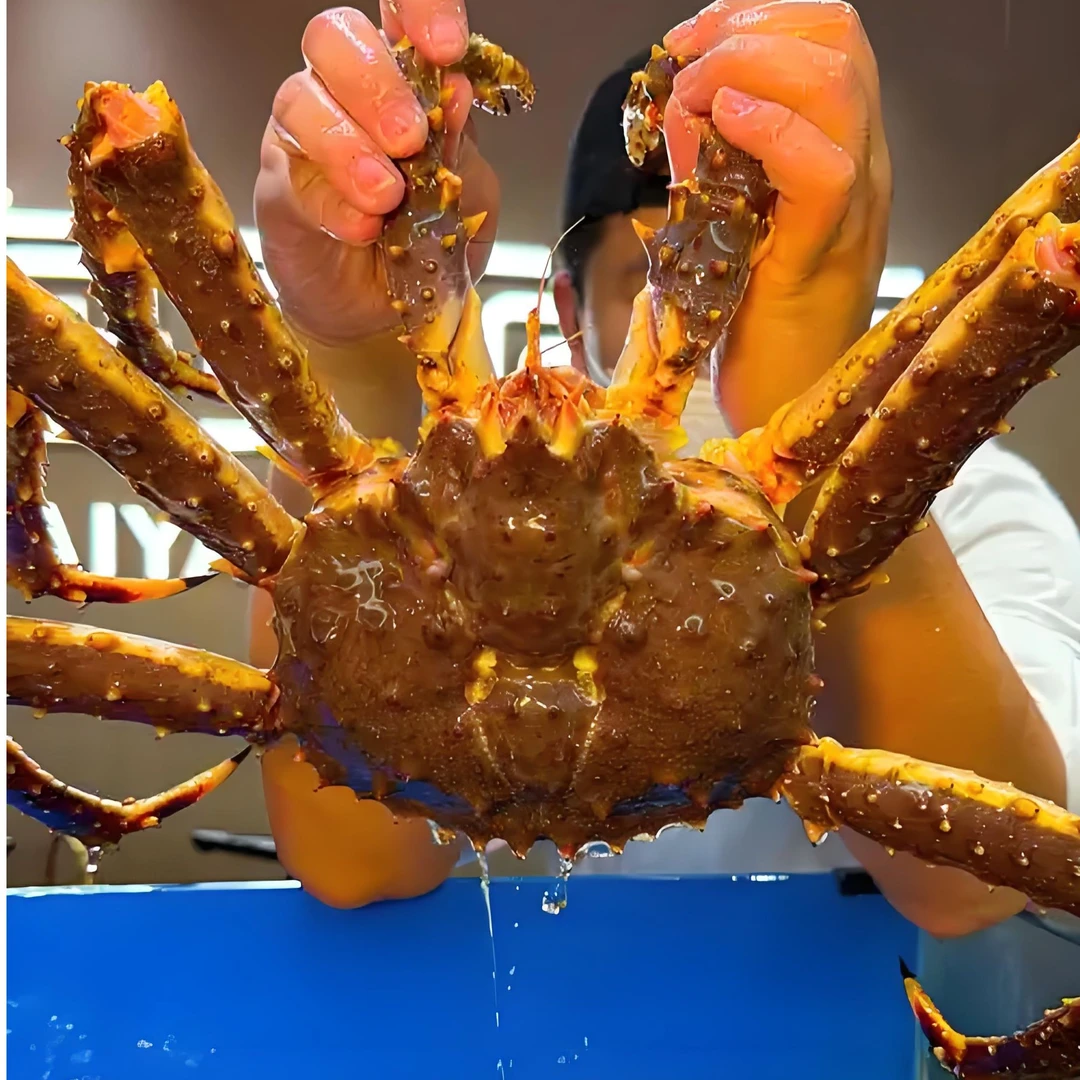 ⟪东潮精选》红蓝帝王蟹 （现场称重为准保鲜不保活）东三省顺丰包邮