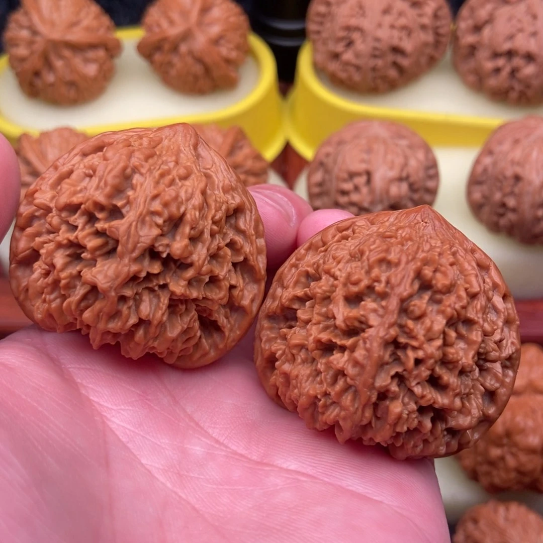 文玩核桃把件老树星星44