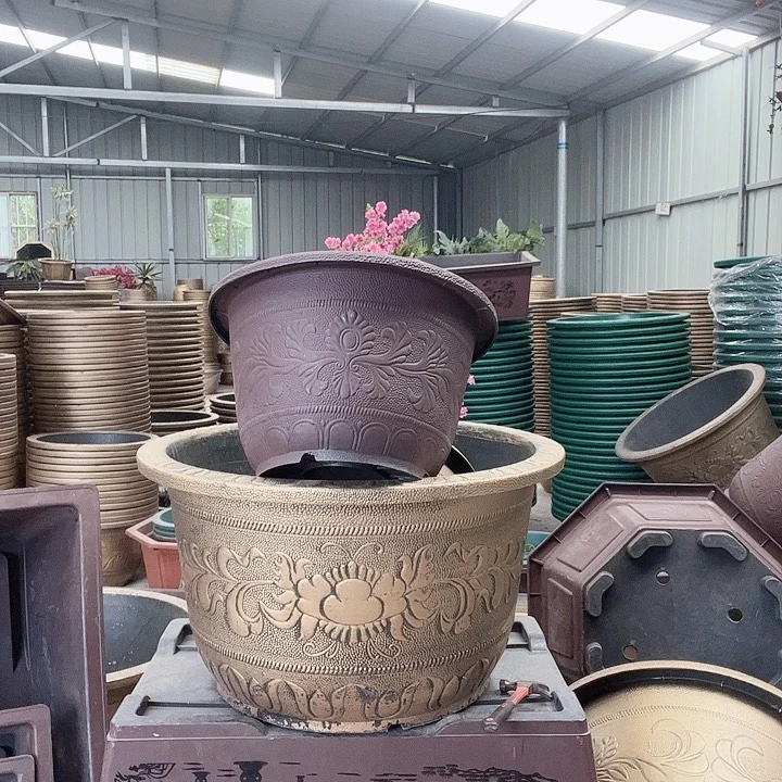 梅花照眼 依然旧风味