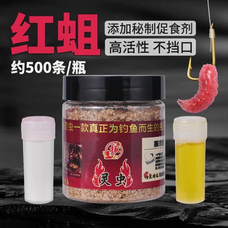 红蛆脓腥钓鱼活饵饵红蛆虫大号可钓石斑马口白条鲤鲫鱼溪哥黄颡