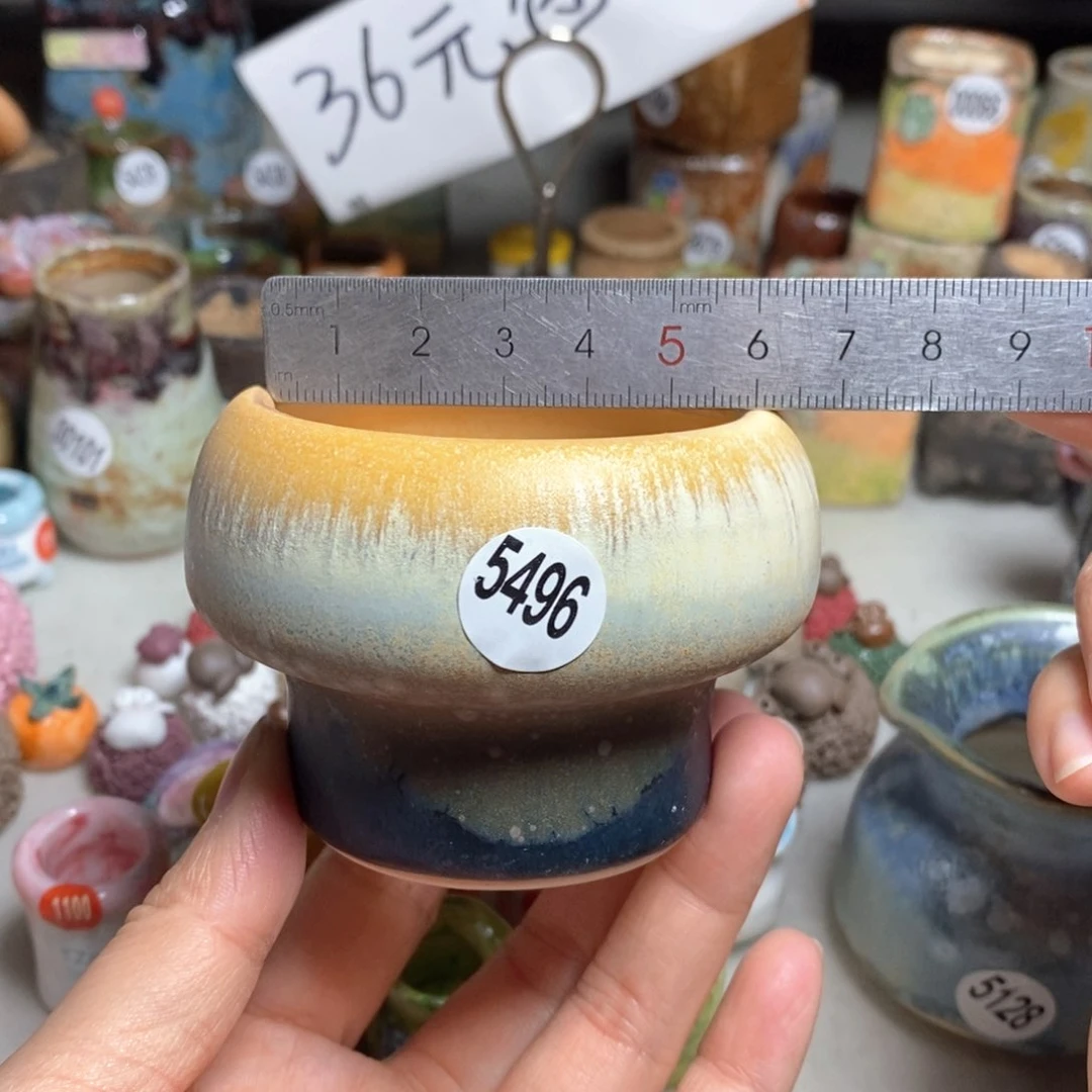 拍5送一个小礼物