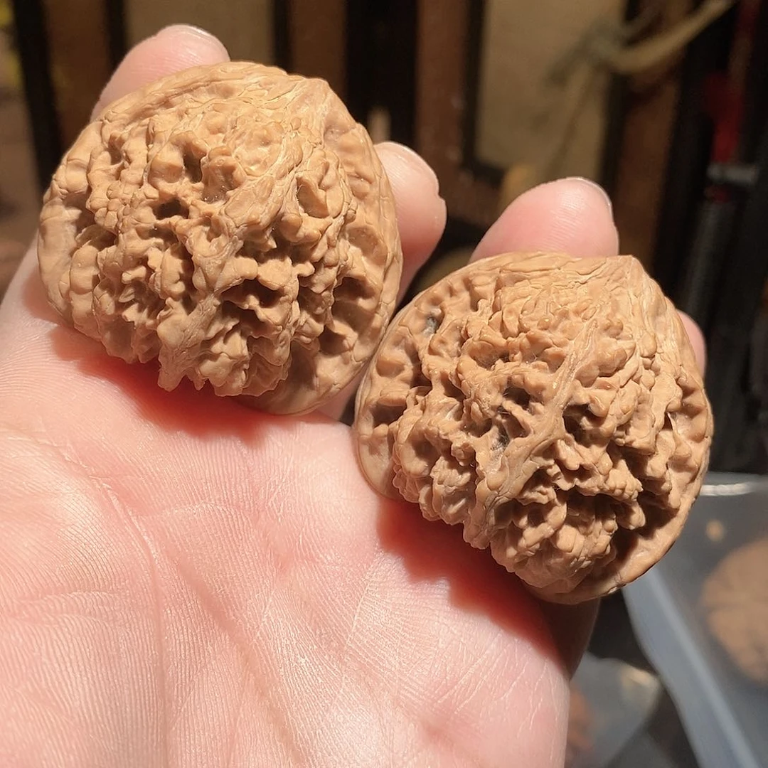 文玩核桃把件45满天星全品