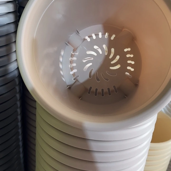 四季4号灰白无托10个特价微瑕