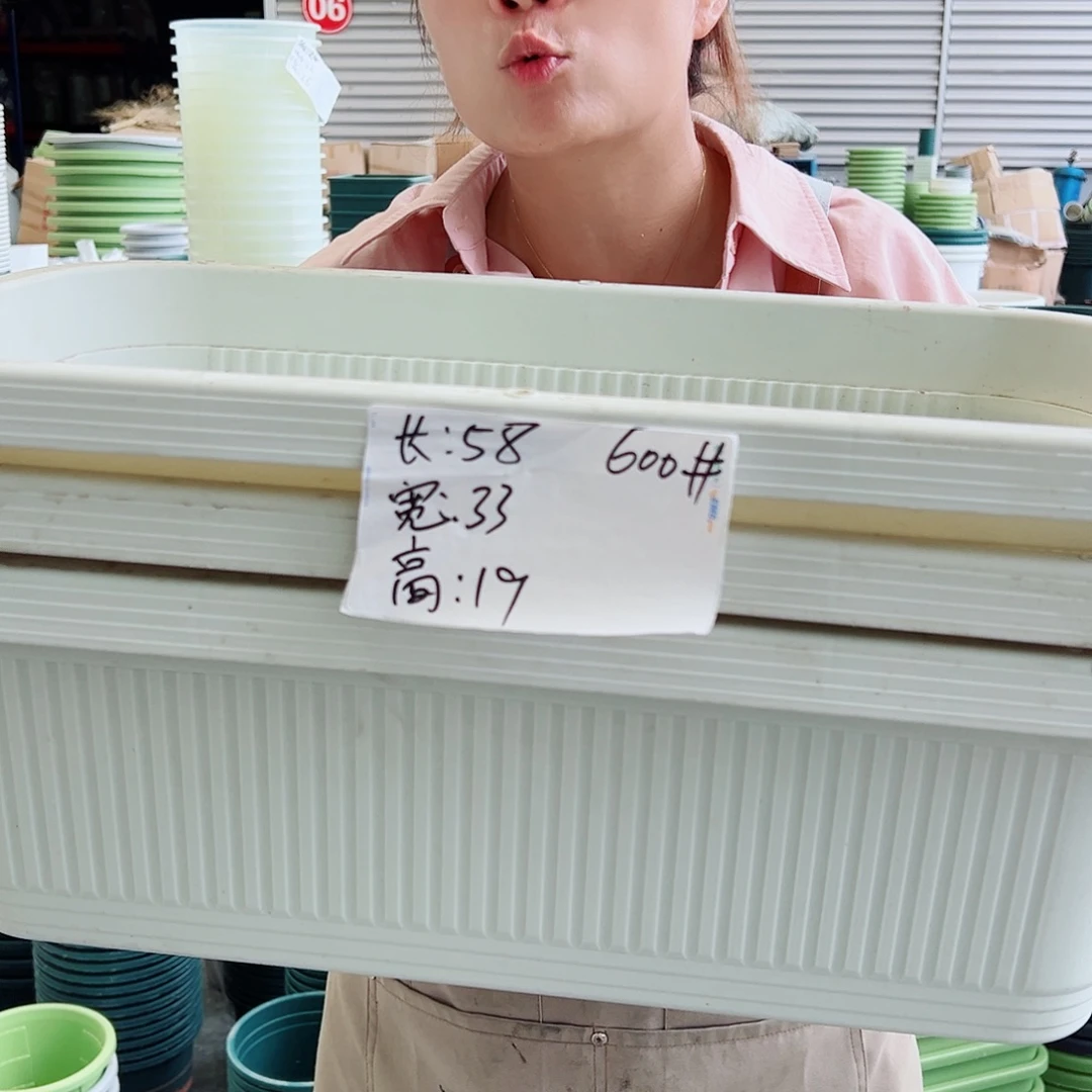 菜盆600#米白色3个无托