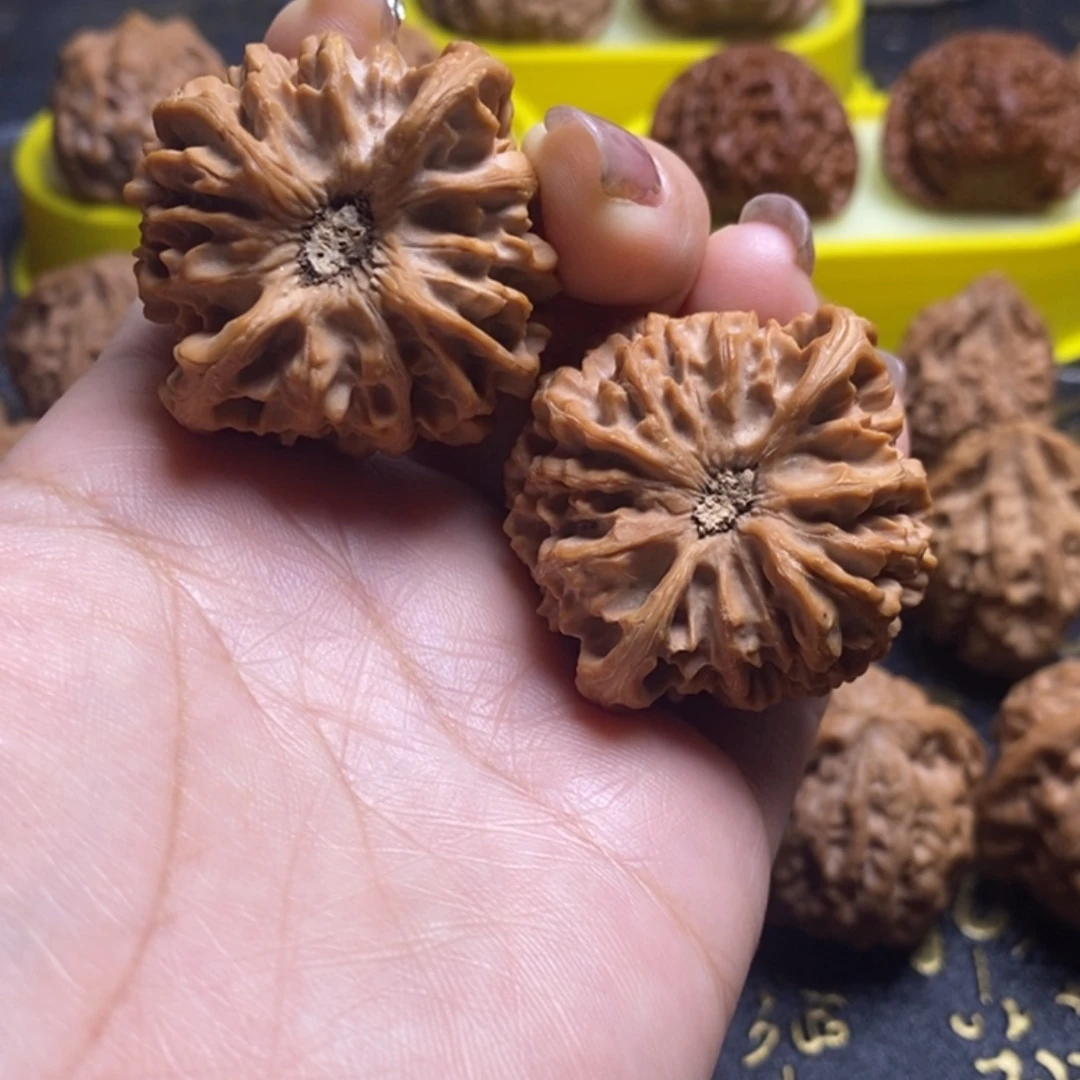 煲***范核桃41龙门涧核桃