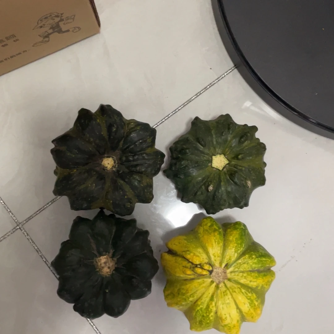 ****无花朵紫花哈哈哈哈哈哈哈哈