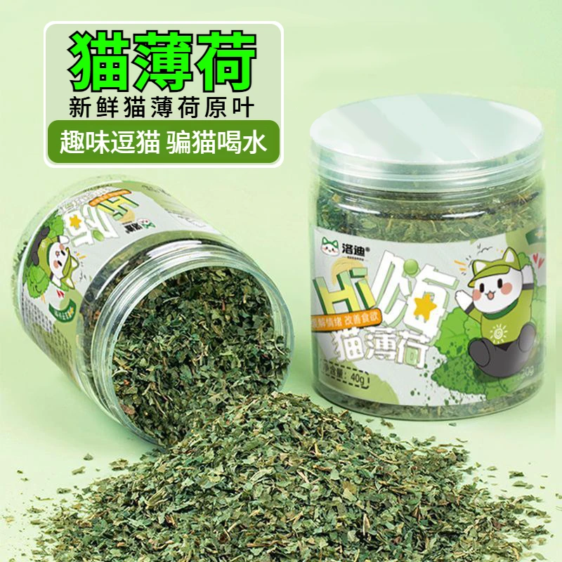 猫薄荷高纯度特浓猫薄荷粉末可食用猫咪薄荷茶猫喝水骗水拌饭拌粮