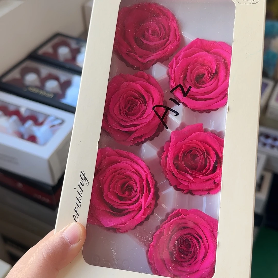 A12号弗洛伊德6朵