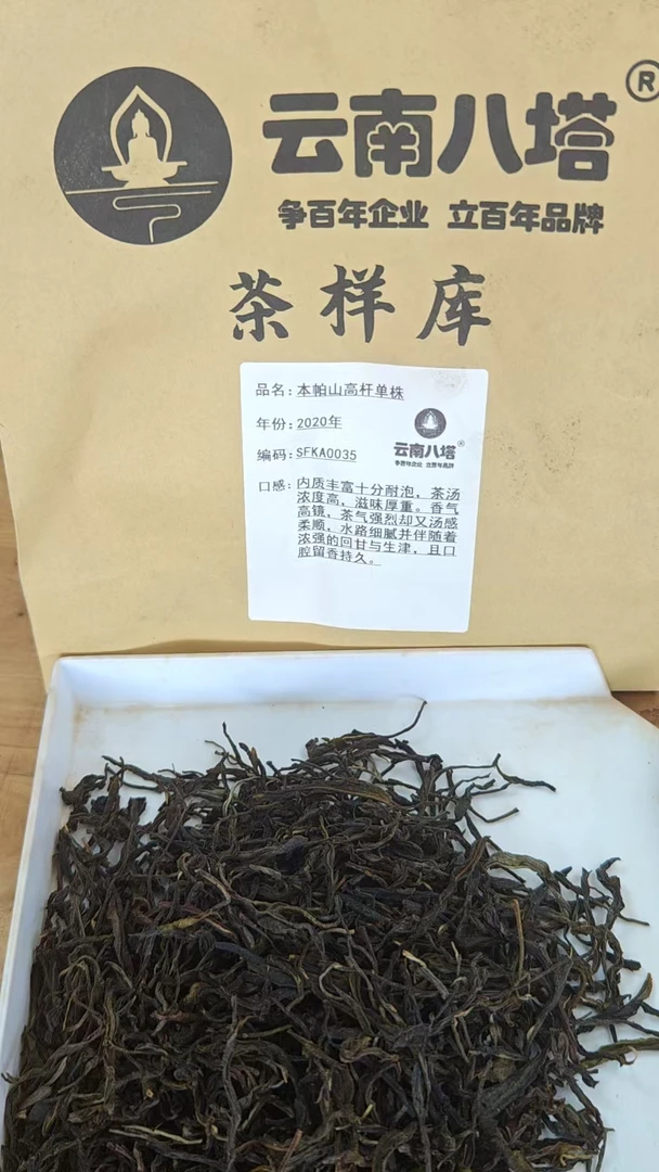生茶散茶 20年 本帕山高杆单株Sfka-696