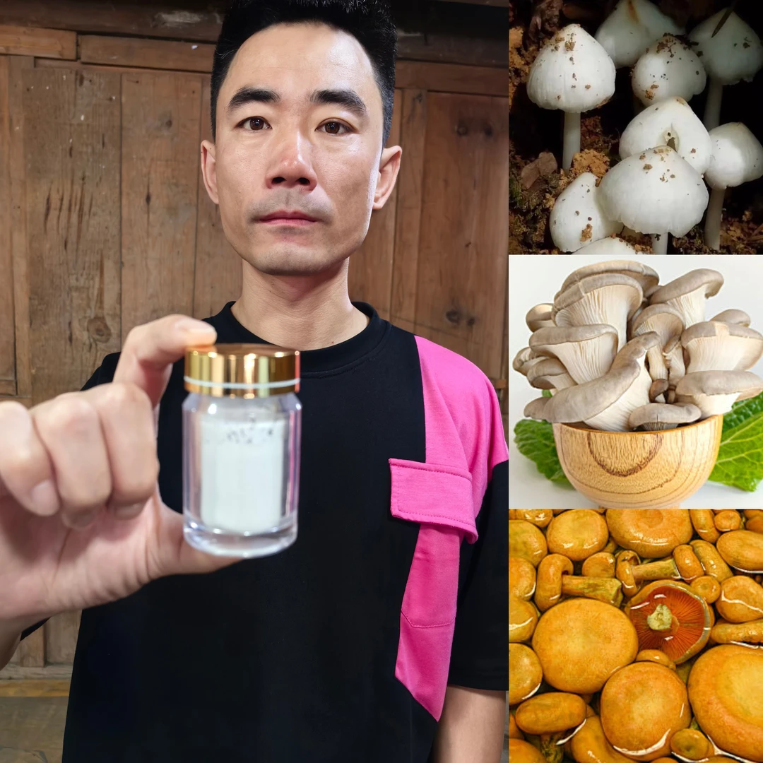 【土特产阿龙专属Z41搭配z42】重量98g