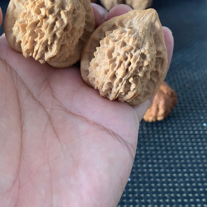 文玩核桃吊坠S****o文玩核桃朱雀核桃