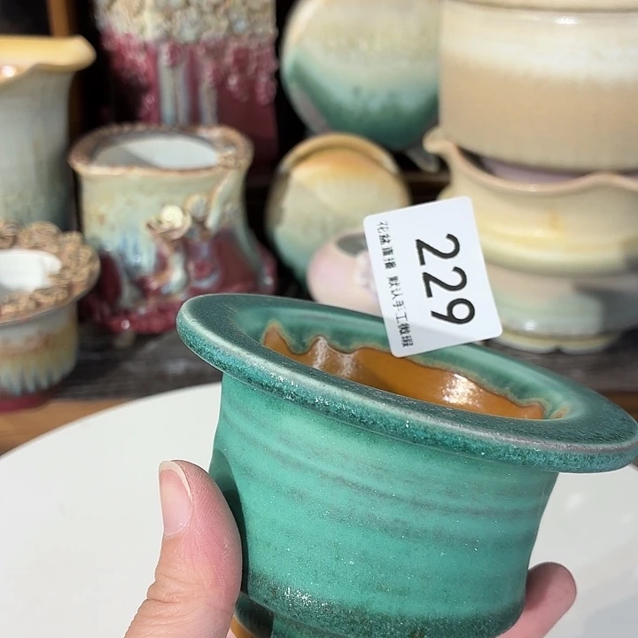 花盆花盆花盆花盆