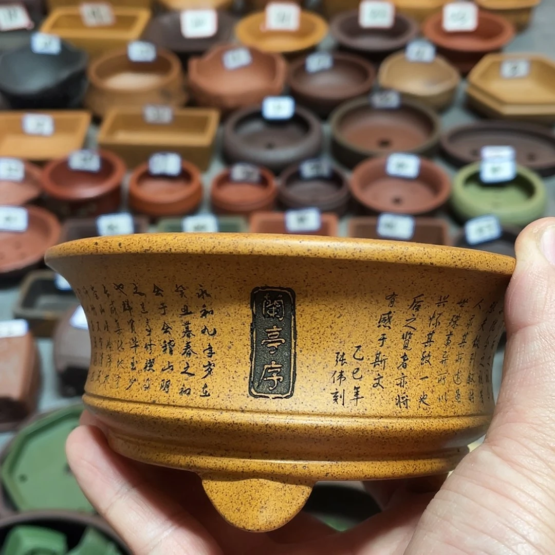 紫砂小盆11*4.5cmmmm