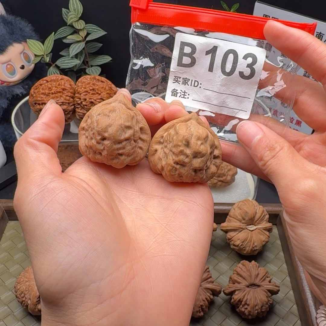 吊坠龙脊菩提全品古蟾36