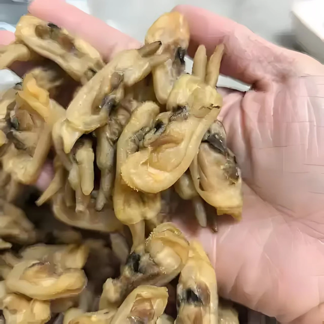 【精品】霞浦本地蛏子干 500g