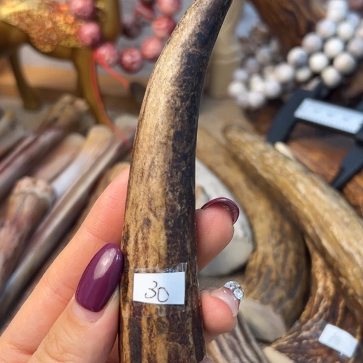 阳***雪养殖鹿角雕刻原材料