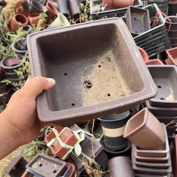 是一个不知名作家与著名导演