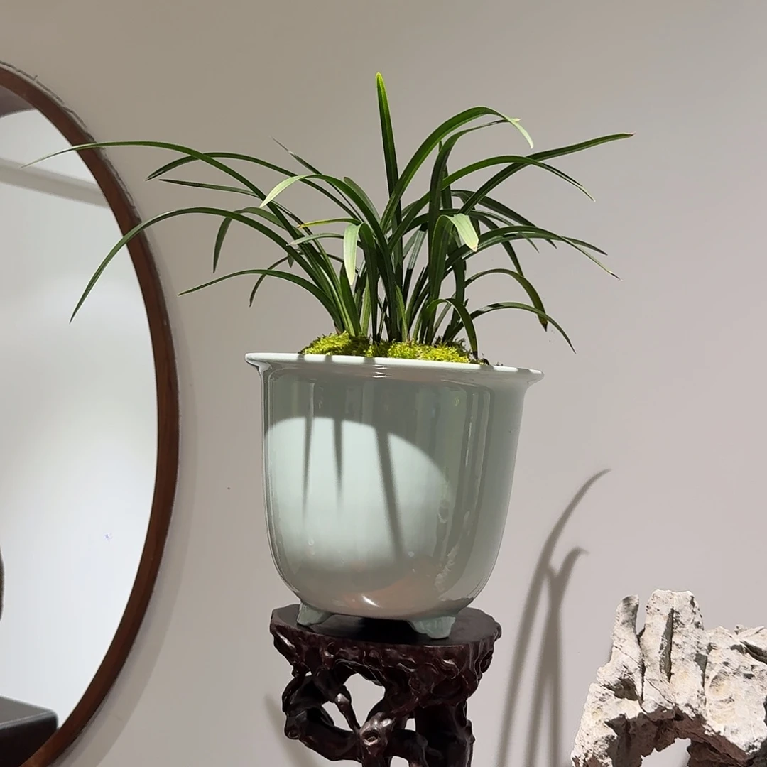 一个尺寸高17口19一个