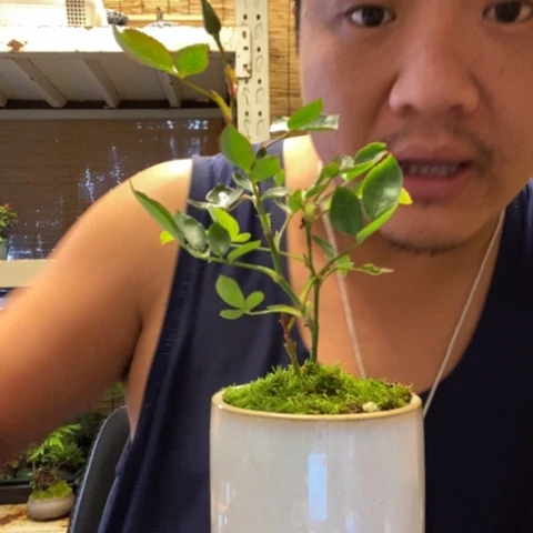 红陶?****一物一拍所见即所得161