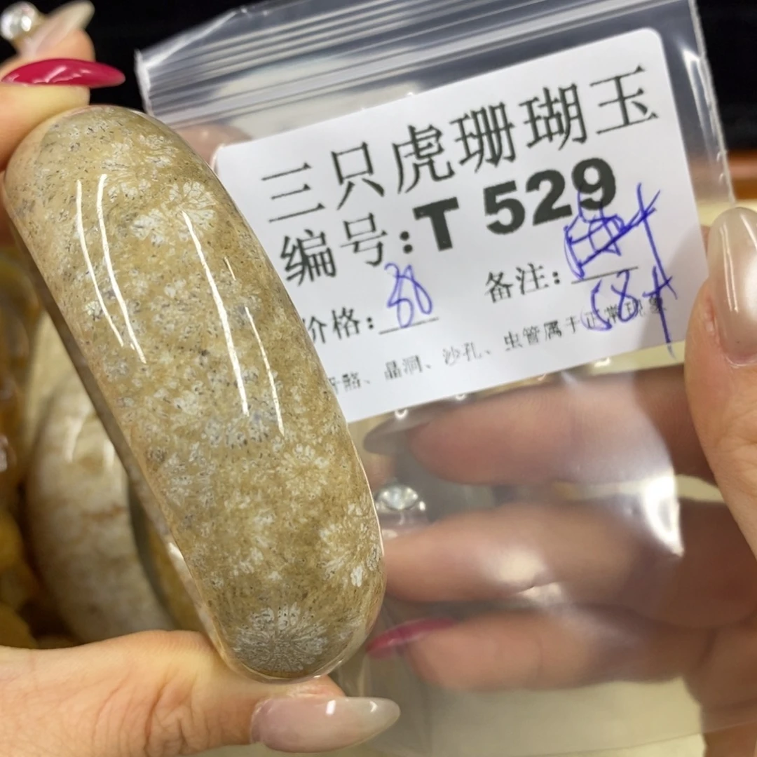 硅化珊瑚（珊瑚玉）1足银镀金镶嵌一****n