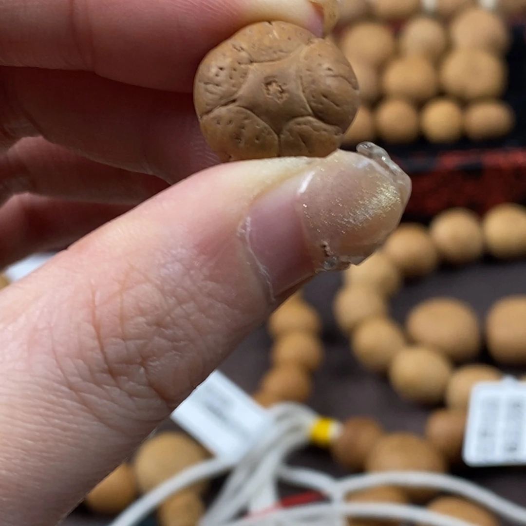 吊坠凤眼菩提五星上将16