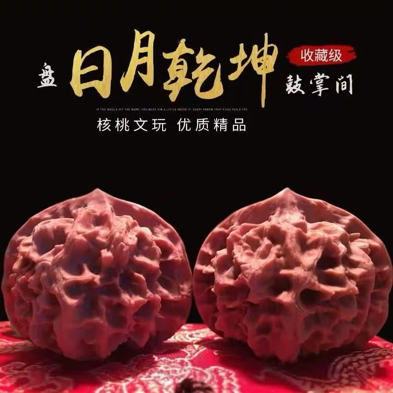 精品大尺寸玉玺宫灯狮子头文玩核桃山坡老树果骨质好