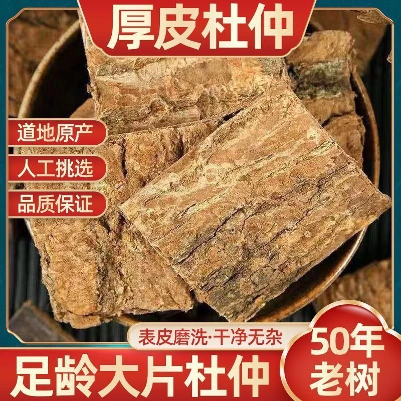 【50年老杜仲】秦岭野外生长50年老树采摘，棉密拉丝泡水炖汤