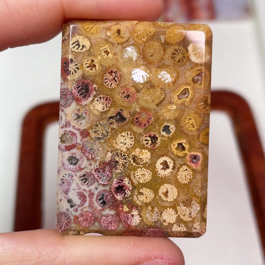 【闪购商品】未镶嵌吊坠(赠链)硅化玉