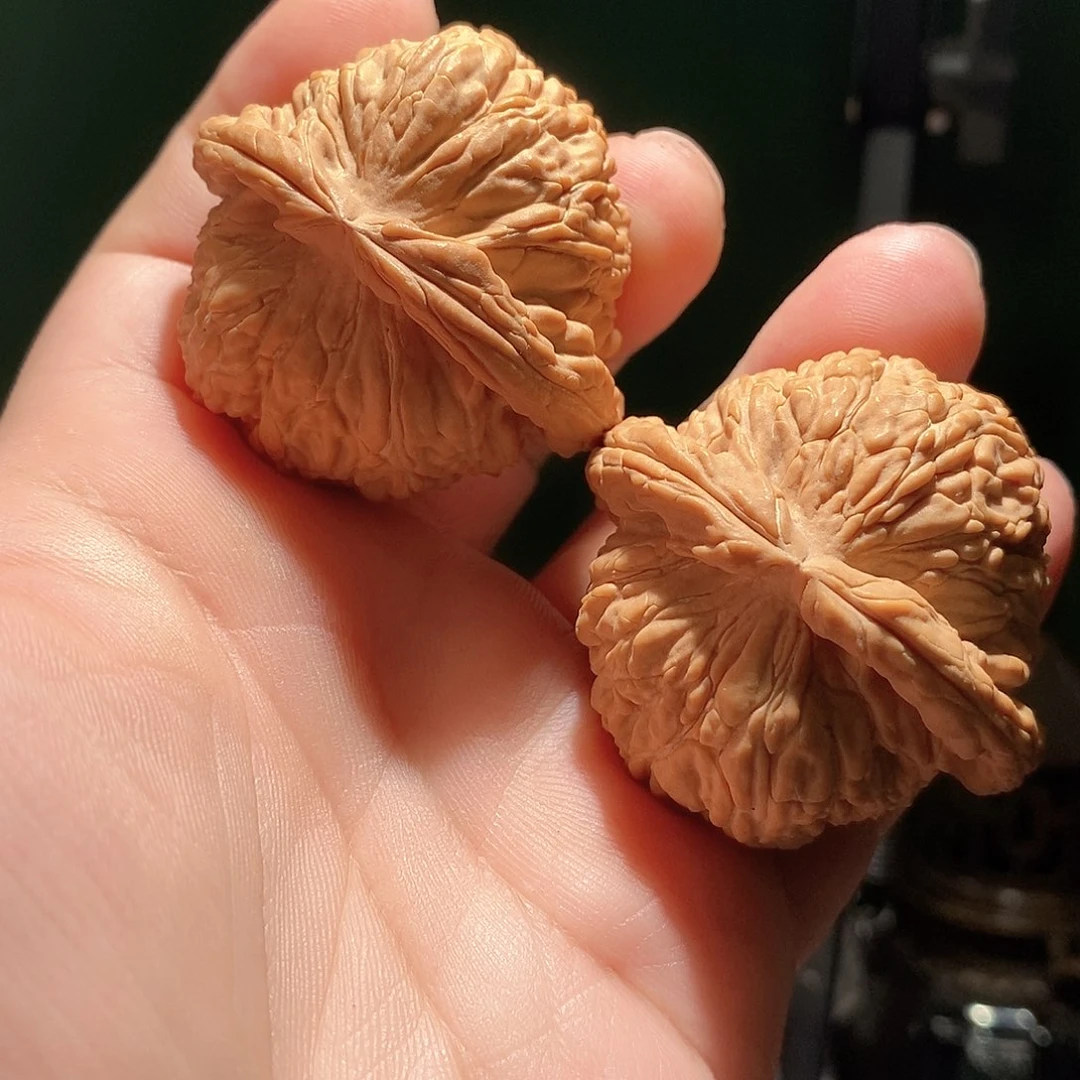 文玩核桃把件47白狮子全品