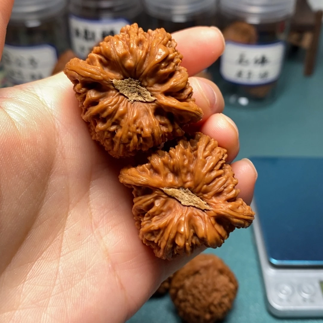 核桃39.5尺全品细纹