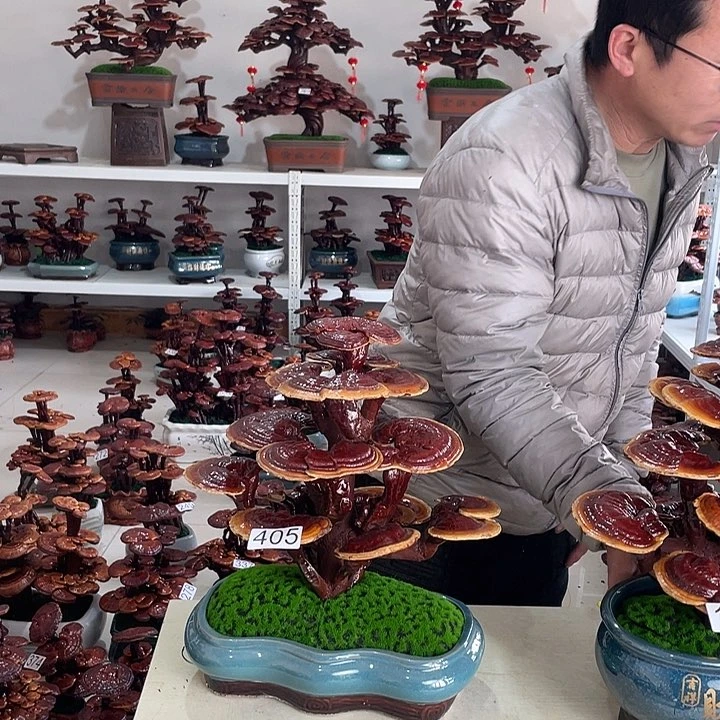 且*8888888888888888888