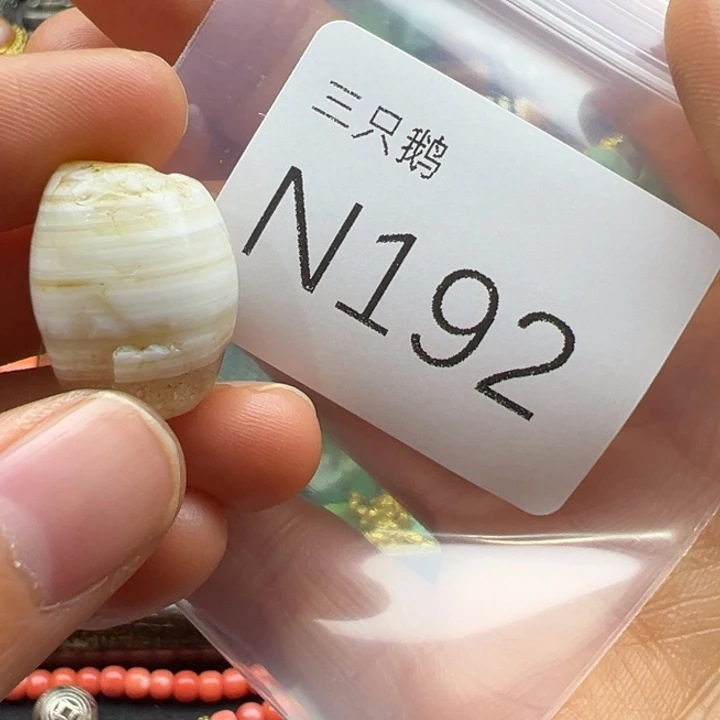 静***行吊坠菩提根/象牙果