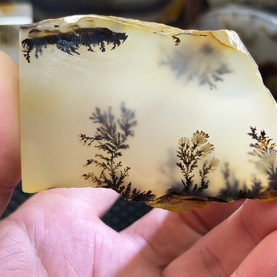 泽***玛瑙/玉髓未镶嵌珠宝半成品