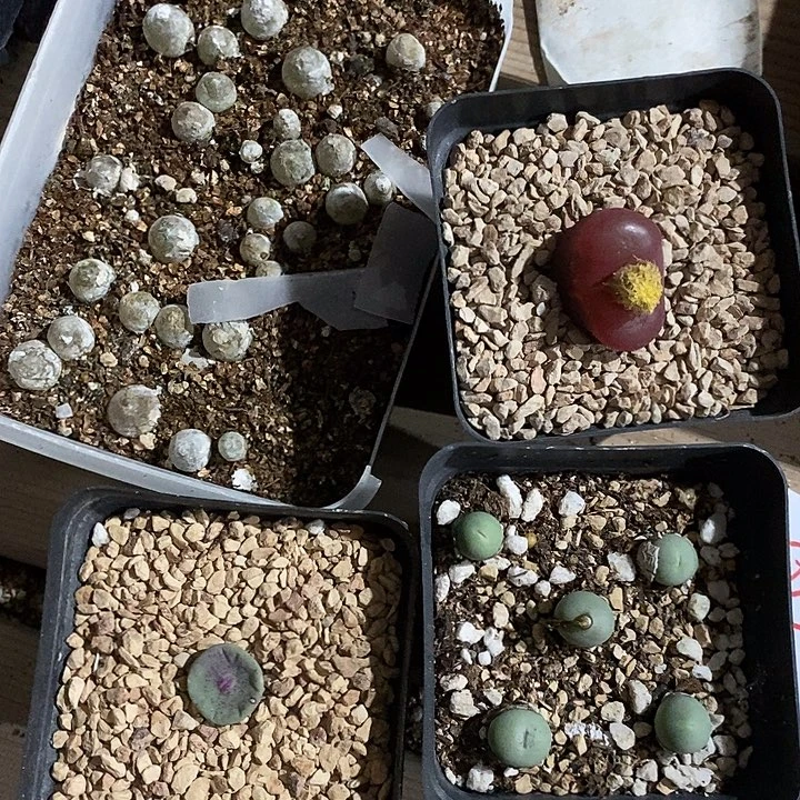 8389。  福利一组。