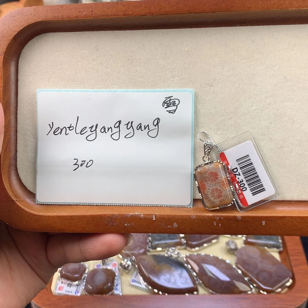 【闪购商品】硅化珊瑚（珊瑚玉）未镶嵌颈饰