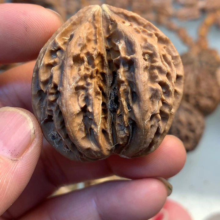 猴头核桃把件拿姐10