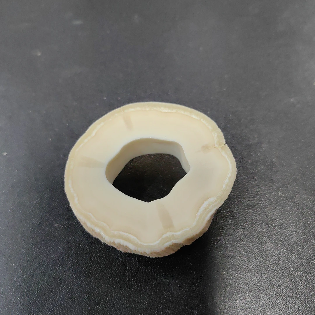 猛犸猛犸独饼子  WT120