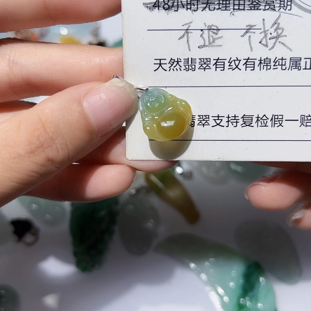 翡翠未镶嵌颈饰天然A货翡翠