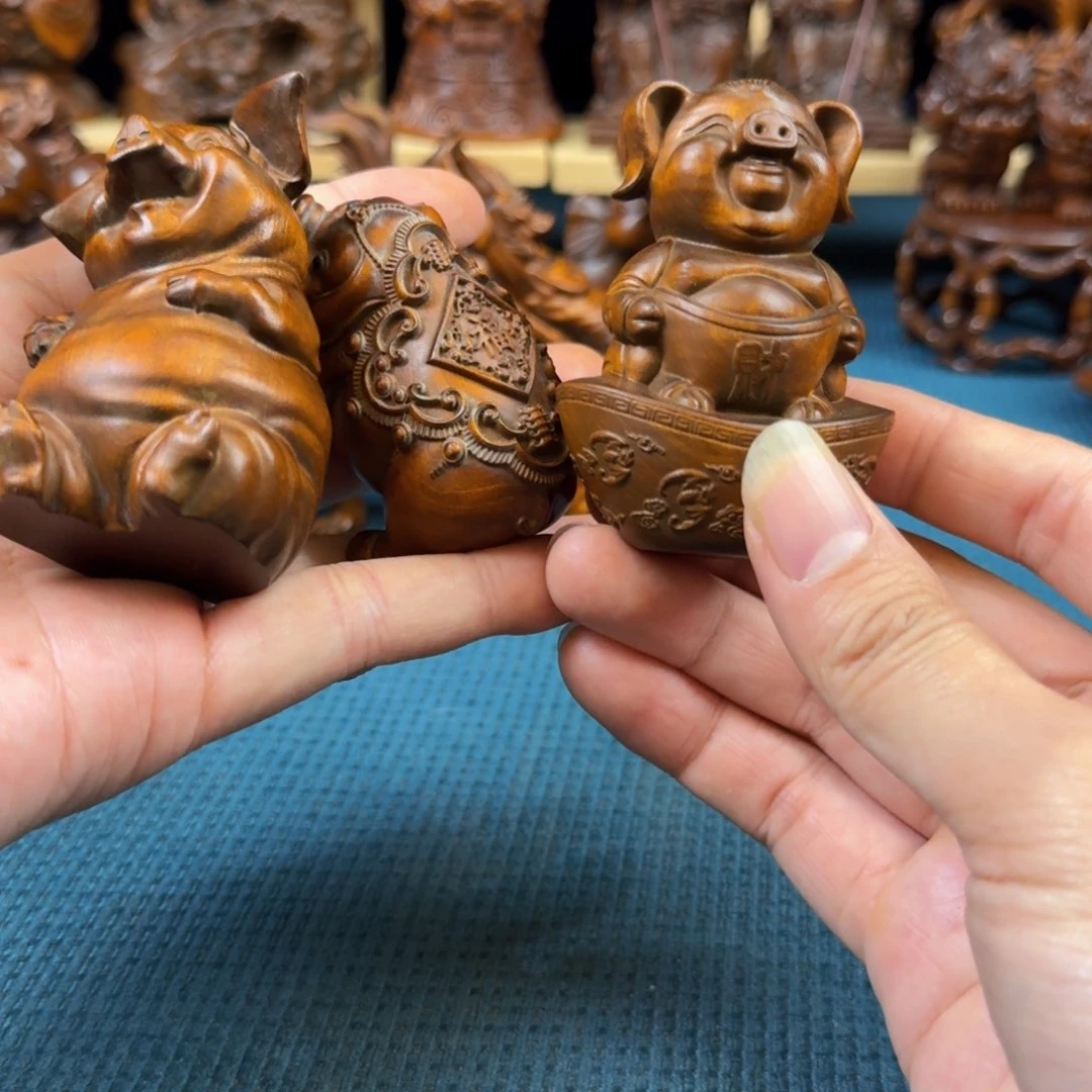 黄杨木猪*帆小叶黄杨木