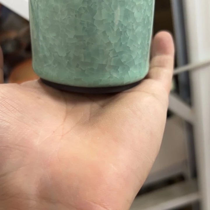 55555555555555555555