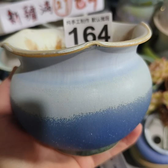 景德镇高温陶瓷：内9口高10